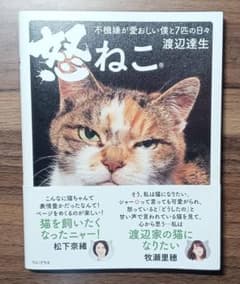 怒ねこ 不機嫌が愛おしい僕と7匹の日々 渡辺達生のサムネイル