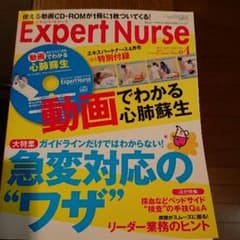 エキスパートナース 2011.4のサムネイル