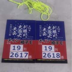 第39回 利根川大花火大会 チケット 椅子E席 2枚セット 境町側のサムネイル