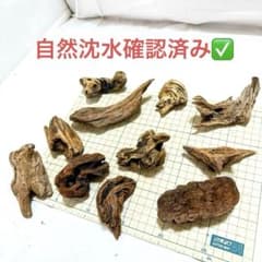 poke.Y 流木セット 【自然沈水確認済み】 不規則形状 流木10点セット⑦ 【自然沈水確認済み】 - メルカリ