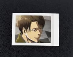 Attack Titan Pashakore Levi ②