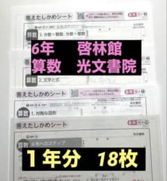 6年 算数 カラーテスト 啓林館 光文書院 1年分 - メルカリ