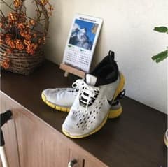 ナイキフリー5.0のサムネイル