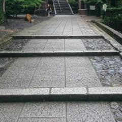 kuroneko様専用 現代文参考書のサムネイル