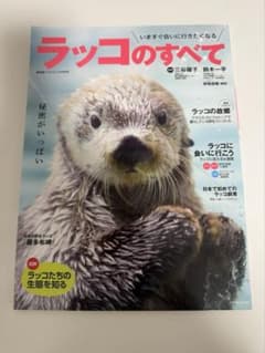 ラッコのすべて 廣済堂ベストムック406号のサムネイル