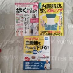 血糖値をラク～に下げる！　内臓脂肪を落とす名医のワザ　生活習慣病は歩くだけ　3冊のサムネイル