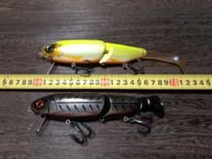 m41103223353_1.jpg?1698067840