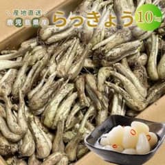 毎年人気！鹿児島産 らっきょう 10kg パリッと食感！770 毎年人気！鹿児島産 らっきょう 10kg パリッと食感！770 - メルカリ