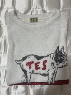 TES The Endless Summer パイル地 Tシャツ フレンチブルのサムネイル
