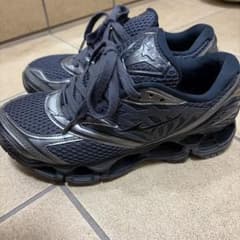 Mizuno Wave Prophecy ネイビー　26cmのサムネイル