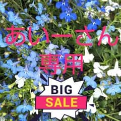 交渉セール！超美品！Schott ライダースジャケットのサムネイル