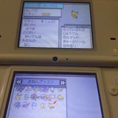 ポケットモンスター　ブラック　DS　データありのサムネイル