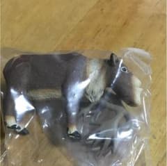 シャクレルプラネット3のサムネイル