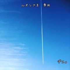 ＋ルオンさま専用＋＋のサムネイル