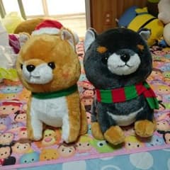 ころわん様専用 黒豆しばジローのサムネイル