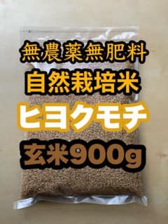 もち米 自然栽培【ヒヨクモチ】新米 玄米 10kg【5kg×2袋】無農薬無肥料米 もち米 自然栽培【ヒヨクモチ】新米 玄米 900g 無農薬無肥料の自然栽培