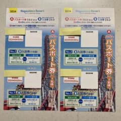 【２枚】ナガシマスパーランド パスポート 券のサムネイル