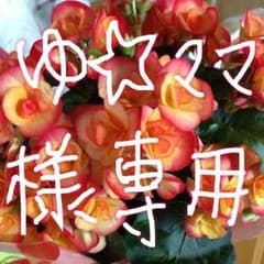 ゆ☆ママさま専用のサムネイル