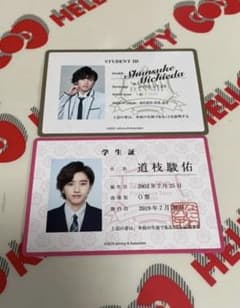 なにわ男子 道枝駿佑 アオハル 生徒証 おまけ付きのサムネイル