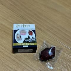 ハリーポッター　賢者の石　ピンバッジ