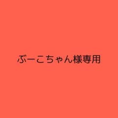 ぶーこちゃん様専用のサムネイル