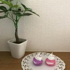 Mdai様専用のサムネイル