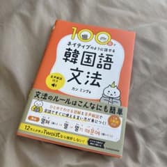 100日でネイティブのように話せる韓国語文法 カンミングのサムネイル