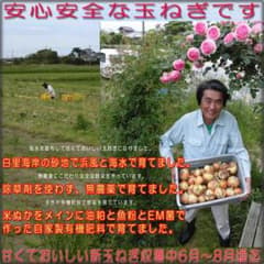 ☆無農薬野菜 有機肥料で作る安心安全な白里海岸の新玉ねぎ 5kg☆のサムネイル