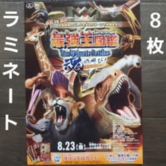 映画 最強王図鑑 魂の叫び！ ラミネート+ チラシ フライヤー 8枚