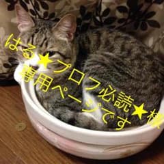専用ページです。のサムネイル