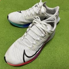 NIKE ペガサス37 限定 26.5cmのサムネイル