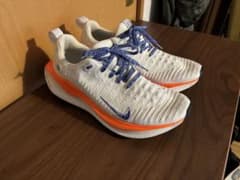 【本日のみ】NIKE インフィニティラン4 28.0cmのサムネイル