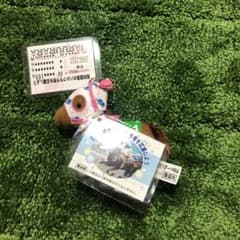 ハルウララ ぬいぐるみキーホルダー 応援馬券 高知競馬サポートKRA