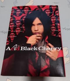 Acid Black Cherry PHOTOBOOKのサムネイル
