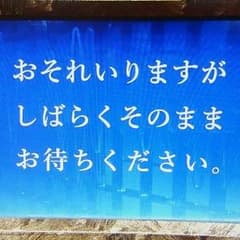 チマメ様専用のサムネイル