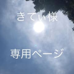 きてぃ様専用ページのサムネイル