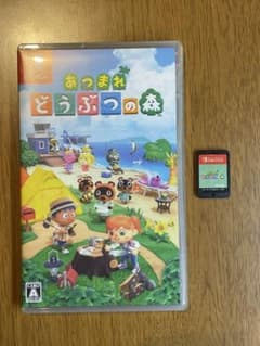 あつまれ どうぶつの森 Nintendo Switch 【ジャンク】 - メルカリ