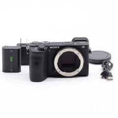 美品 SONY α6600 2386ショット #451 美品 SONY α6600 2386ショット #451 - メルカリ