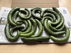 秋田県産　きゅうり　箱込み700g小さめなきゅうりのサムネイル