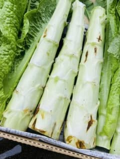 新鲜油麦菜茎レタス、ステムレタス、莴笋、山くらげ、皇帝菜1800グラム前後のサムネイル