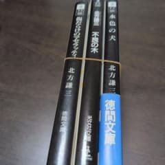 北方謙三 文庫本 3冊セット - メルカリ