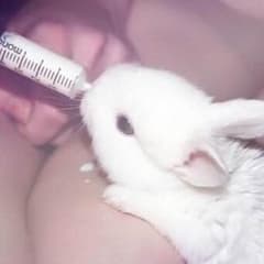 ☆かなちん☆様専用のサムネイル