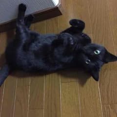 轟雷帝ザボルグ  威光魔人のサムネイル