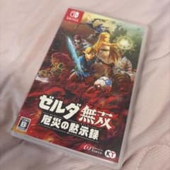 ゼルダ無双 厄災の黙示録 Nintendo Switchのサムネイル