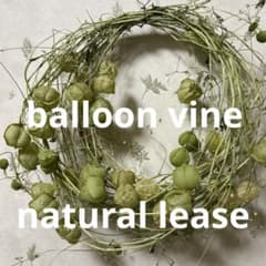 フウセンカズラ　ナチュラルリース Simple is Best リース・花材 フウセンカズラ ナチュラルリース Simple IS Best リース・花材 - メルカリ