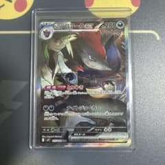 Nのゾロアークex SAR スカーレット&バイオレット 拡張パック