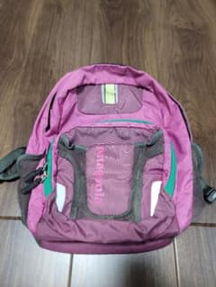 Patagonia 小型 紫 リュック　子ども用のサムネイル