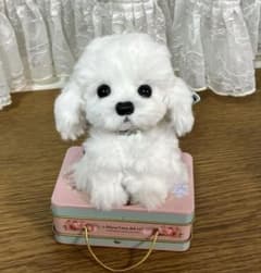 トイプードル（ホワイト）テディベア リバティリボン ハンドメイド