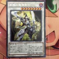 遊戯王 覚醒の魔導剣士シークレットのサムネイル