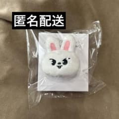 Stray Kidsテディベアぬいぐるみ SKZOO リービット　リノ Stray Kids SKZOO 抱きぬいぐるみ リービット リノ - メルカリ